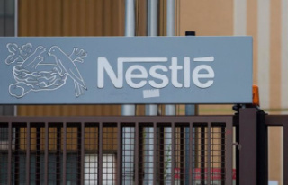 Nestlé earned 45% less in 2022, up to 9,377 million