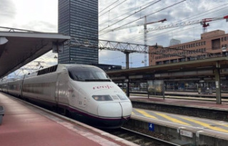 Renfe will debut in France with tickets from 29 euros...