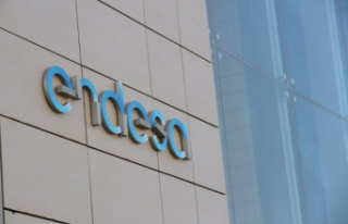 Endesa reduces its profit by 4% to June, up to 879...