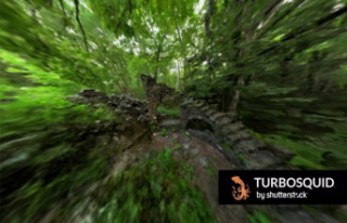 RELEASE: Shutterstock Collaborates to Bring NeRF Generative...