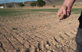 FIAB warns of the impact of the drought on the supply...