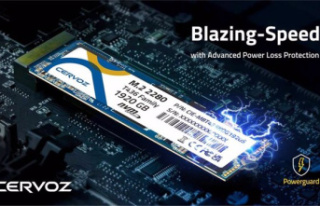 RELEASE: Cervoz NVMe PCIe Gen3x4 SSDs: Incredible...