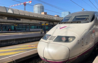 The European Commission will support Renfe in its...