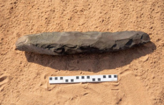 STATEMENT: Giant stone 'handaxe' discovered...