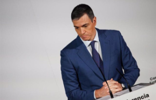 Sánchez assures that the Government is working "fully"...