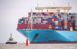 Maersk will divert its ships to the Cape of Good Hope...