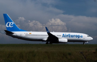 Brussels investigates whether the purchase of Air...