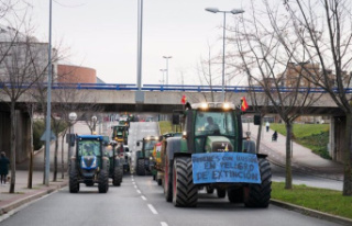Farmers collapse Spain's main roads to demand...