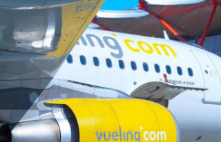 Vueling, among the ten airlines that grow the most...