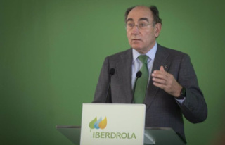 Neoenergia (Iberdrola) launches an offer to acquire...