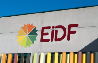 EiDF Solar incorporates María José Herbón as corporate...