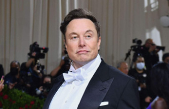 Musk says he's 'doing his best to fight the underpopulation crisis'