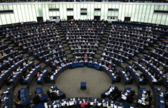 The European Parliament calls for the inclusion of abortion in the fundamental rights of the EU