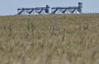 Russia controls more than 22% of Ukrainian agricultural land