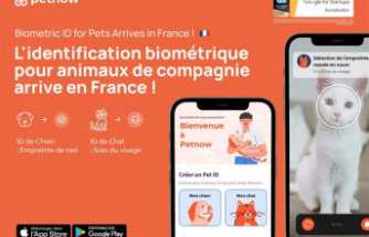 RELEASE: Petnow: AI-powered biometric pet identification arrives in France
