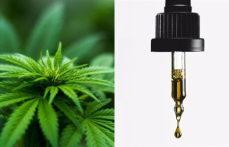 RELEASE: Claim and normalize: the keys to the most informative '420' in the golden era of therapeutic CBD