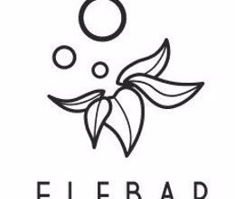 STATEMENT: ELFBAR and LOST MARY reveal progress in the fight against illicit vapers (2)